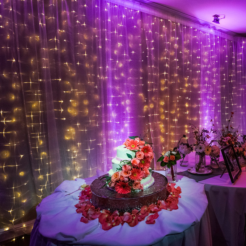 Lighting rental pin spot for wedding cake